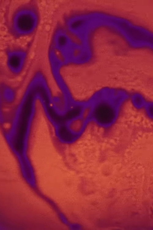 MÉRISTÈME (2025) poster