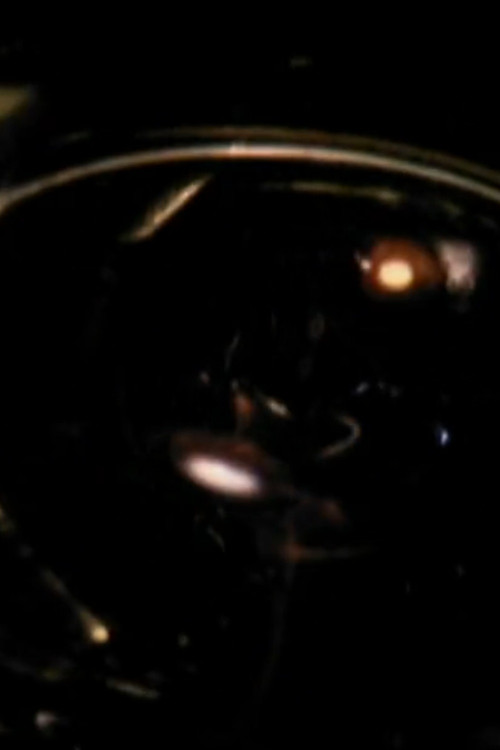 All or Nothing (2013) poster