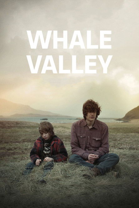 Whale Valley (2013) poster