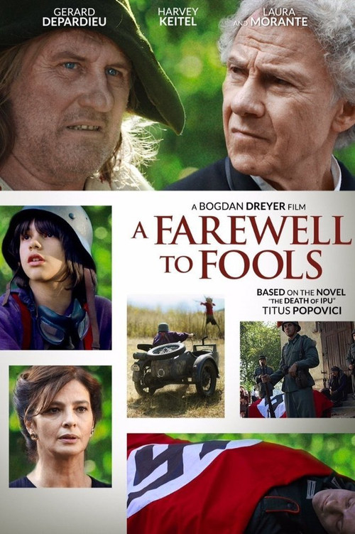 A Farewell to Fools (2013) poster