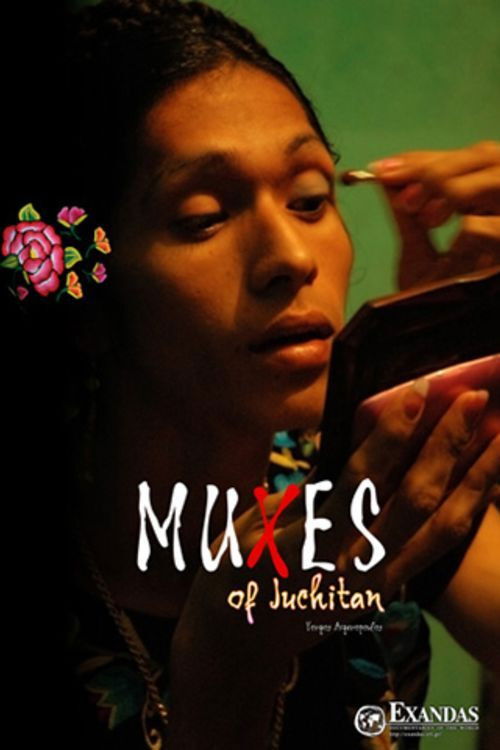 Muxes of Juchitán (2008) poster