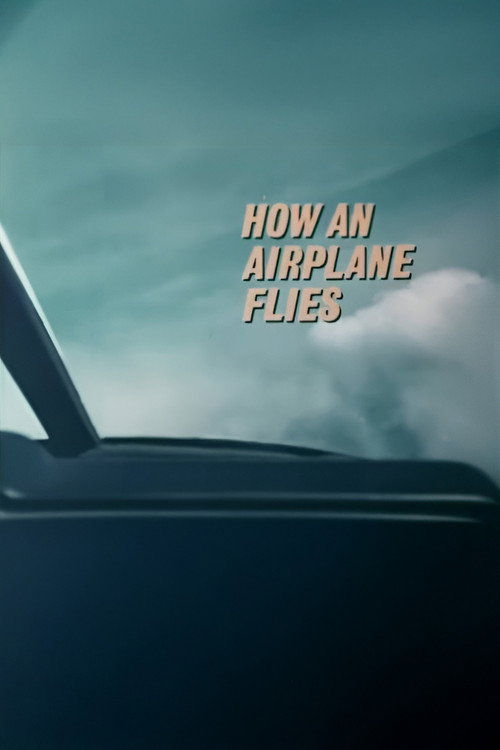 How An Airplane Flies (1975) poster