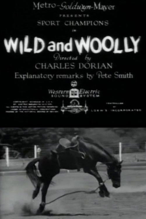 Wild and Woolly (1931) poster
