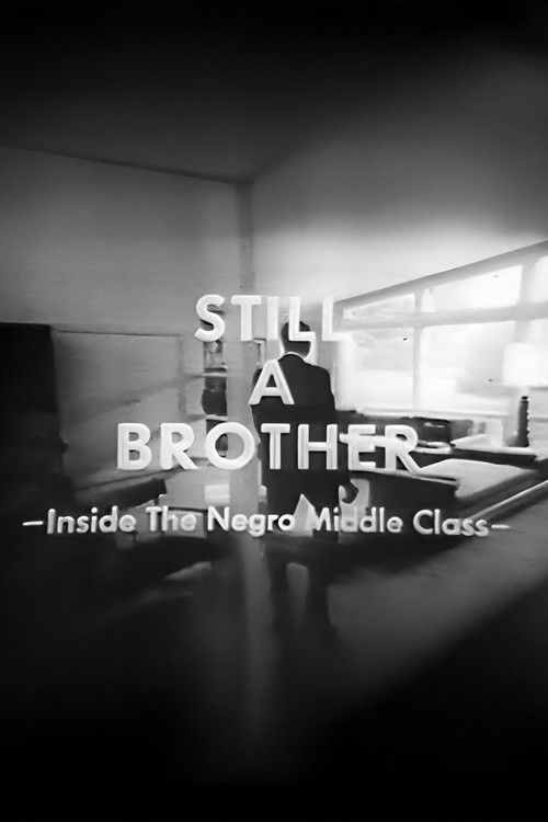 Still A Brother: Inside the Negro Middle Class (1968) poster