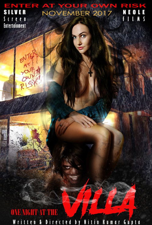 One Night at Villa (2019) poster