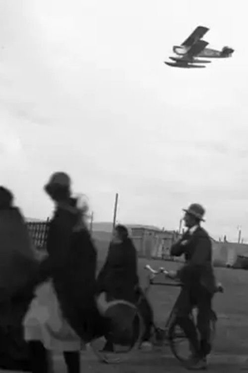 Hnattflugið (1924) poster