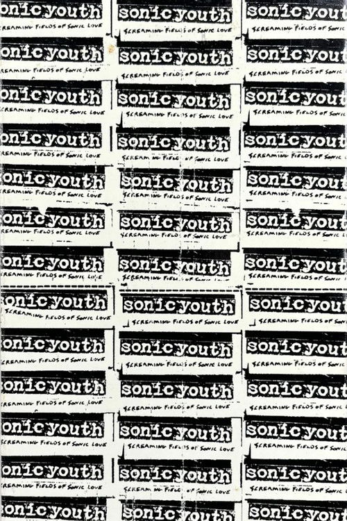 Sonic Youth: Screaming Fields of Sonic Love (1995) poster