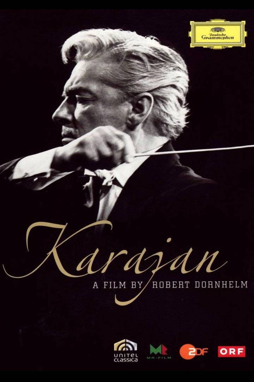 Karajan: Beauty As I See It (2008) poster