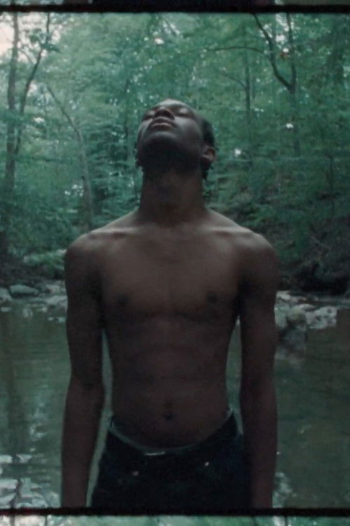 Portrait of Torrance poster