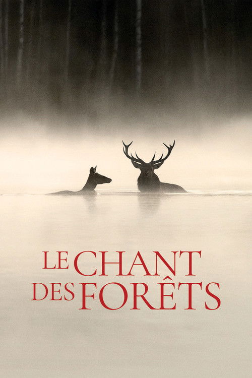 Le Chant des forêts (2025) poster