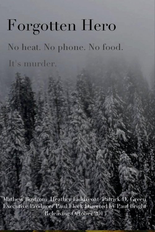 Forgotten Hero (2014) poster