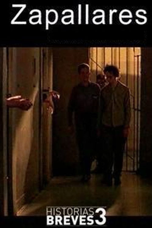 Historias breves III: Zapallares (1999) poster