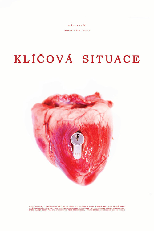 Klíčová situace (2025) poster