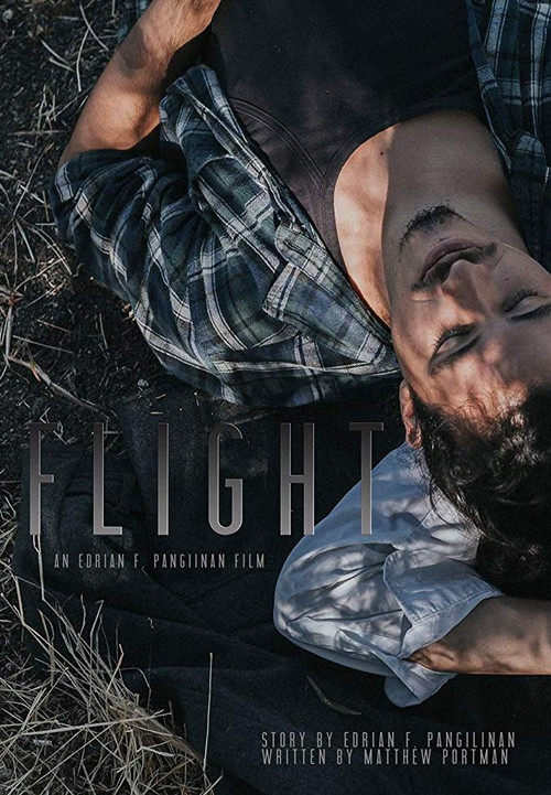 Flight (2017) poster