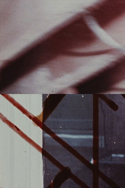 Future Perfect (1978) poster