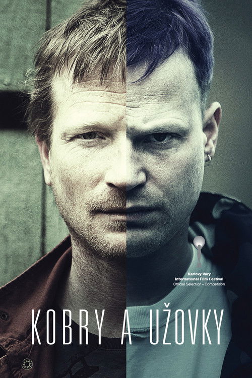 Kobry a Užovky (2015) poster