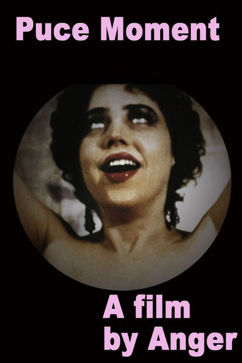 Puce Moment (1949) poster