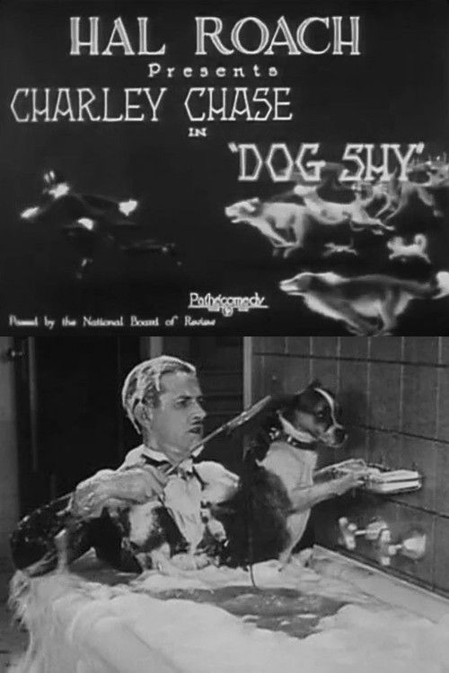Dog Shy (1926) poster