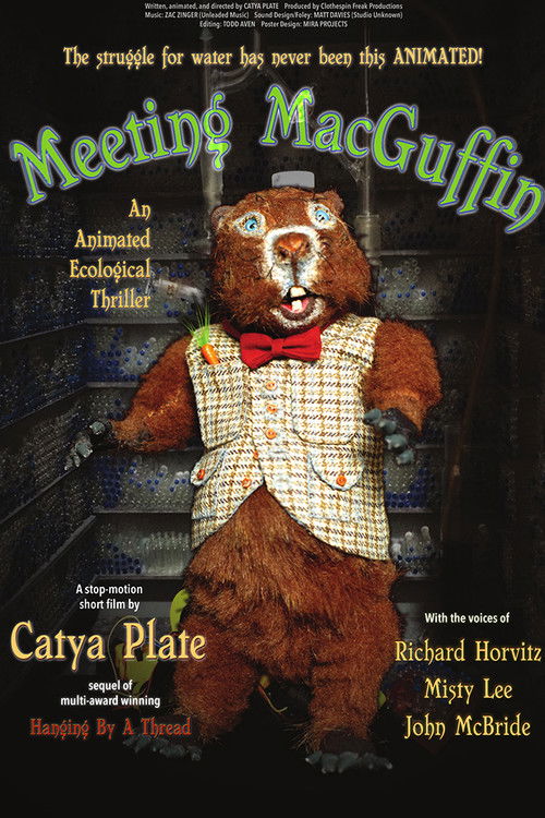 Meeting MacGuffin (2017) poster