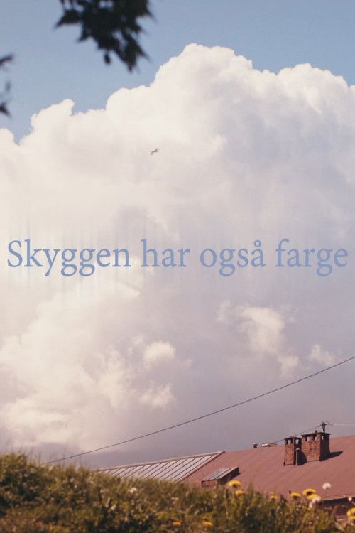 Skyggen har også farge (2020) poster