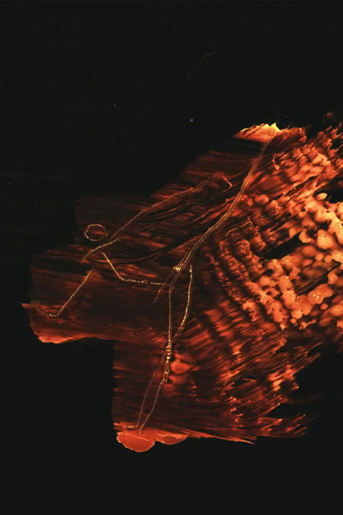 Organic (2019) poster