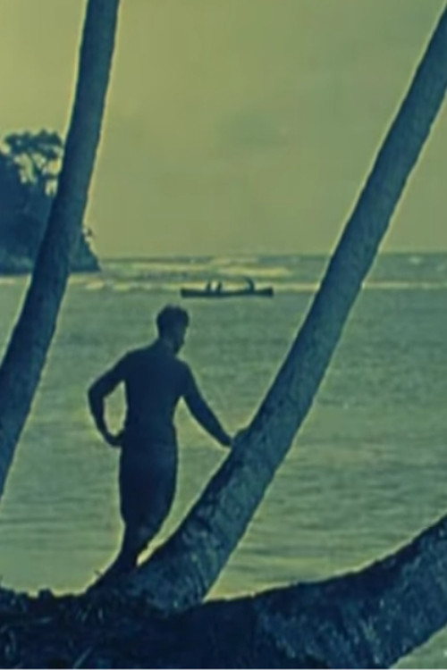 Tropical Nights (1920) poster