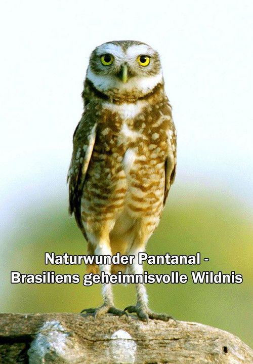Naturwunder Pantanal - Brasiliens geheimnisvolle Wildnis (2021) poster