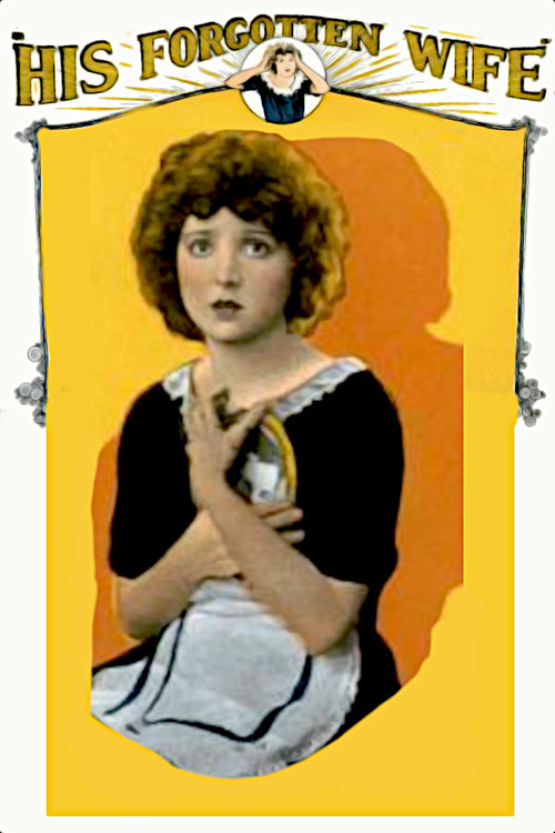 His Forgotten Wife (1924) poster