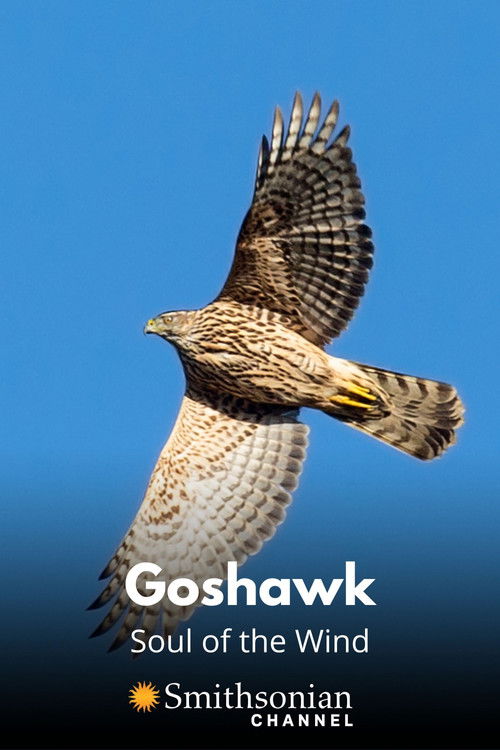 Goshawk - Soul of the Wind (2015) poster