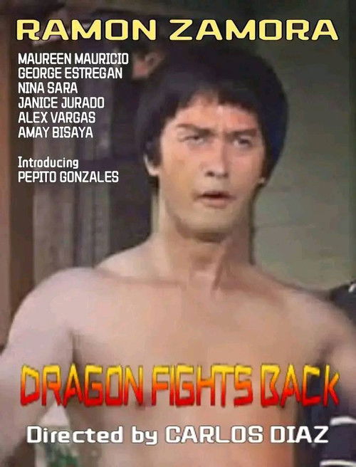 Dragon Fights Back (1987) poster