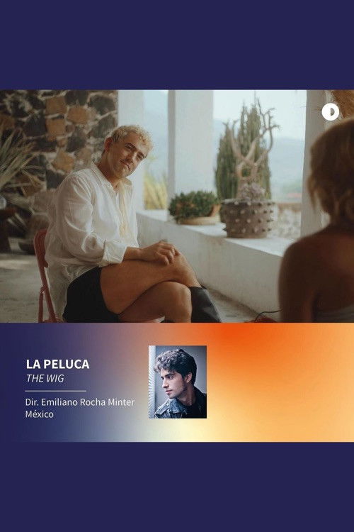 The Wig (2024) poster