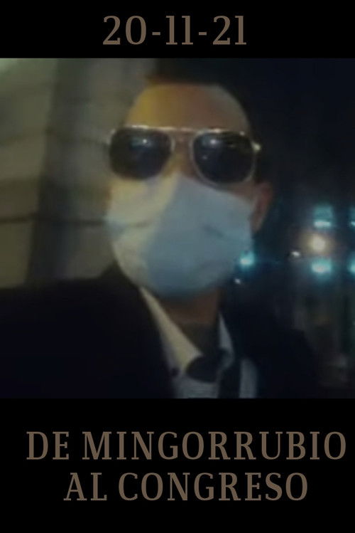 De Mingorrubio al Congreso (2021) poster