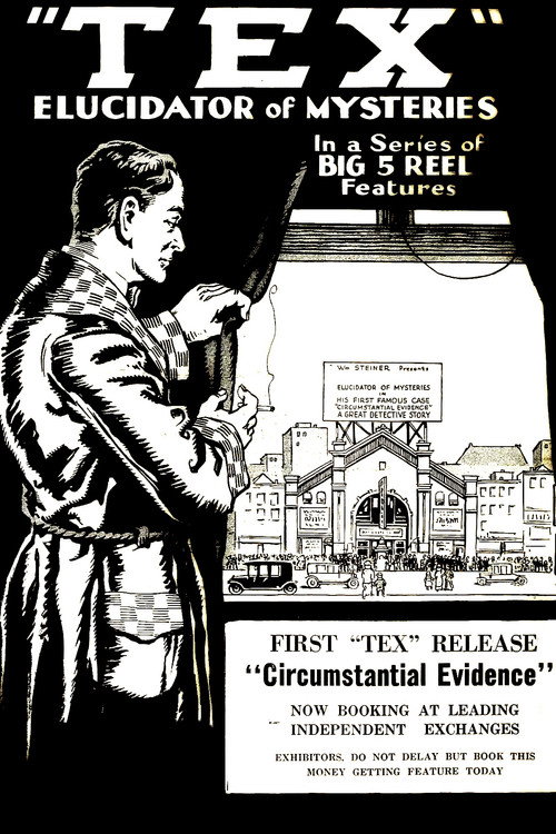 Detective Tex: Circumstantial Evidence (1920) poster