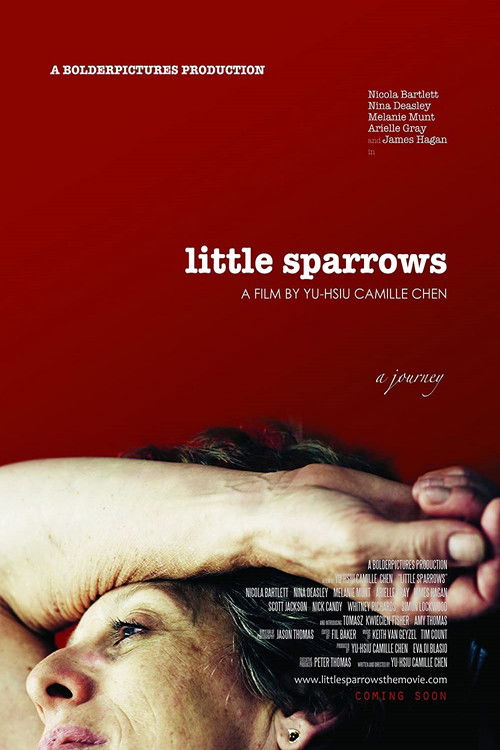 Little Sparrows (2010) poster