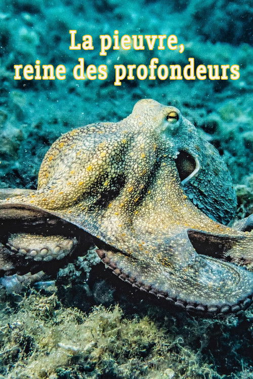 La pieuvre, reine des profondeurs (2004) poster