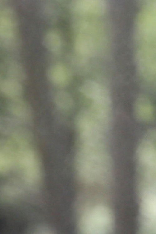 Learning to Eat Soup (2020) poster