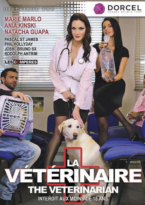La Vétérinaire (2016) poster