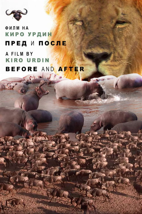 Пред и после (2022) poster