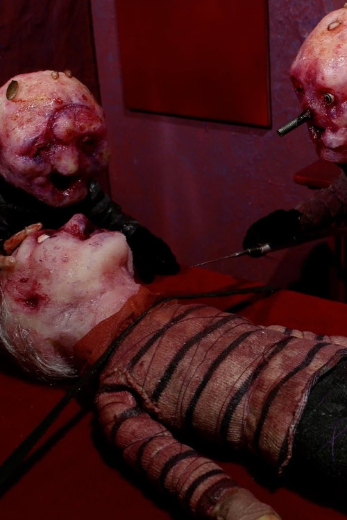 D Is for Deloused (2014) poster