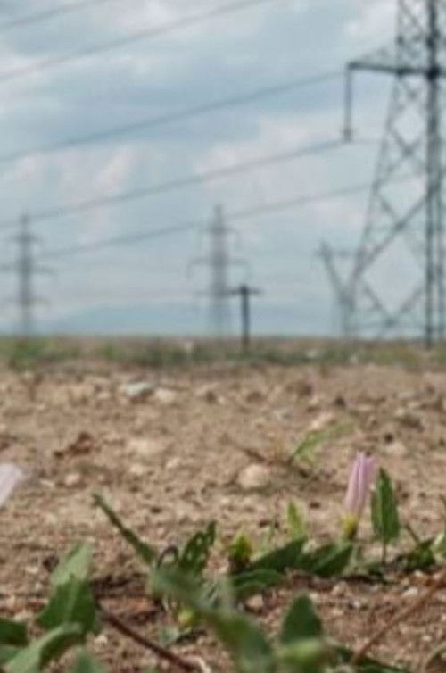 Disaster Theories: Our Planet in Flames (2024) poster