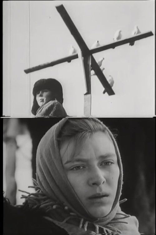 The Petrukha Family (1971) poster