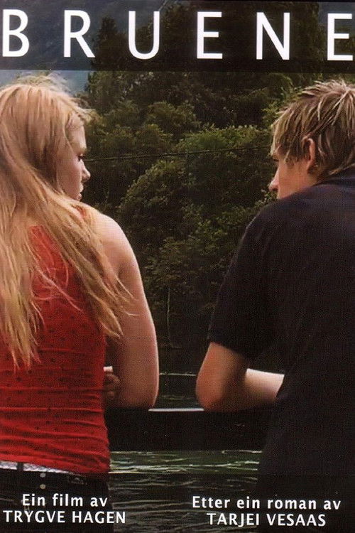 Bruene (2011) poster
