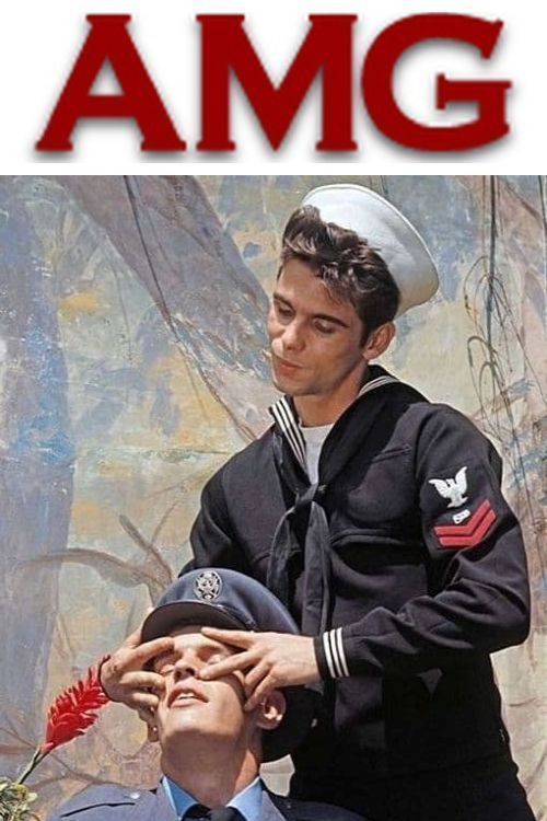 Strangers in the Park (1971) poster