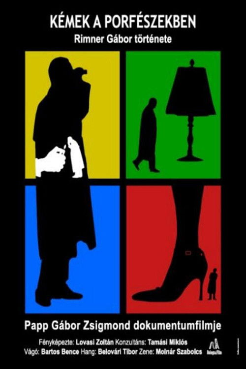 Spy in a One Horse Town (2009) poster