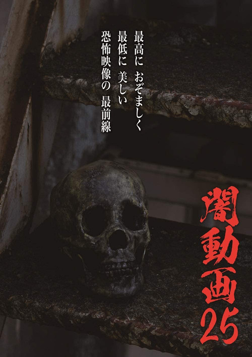 Tokyo Videos of Horror 25 (2020) poster