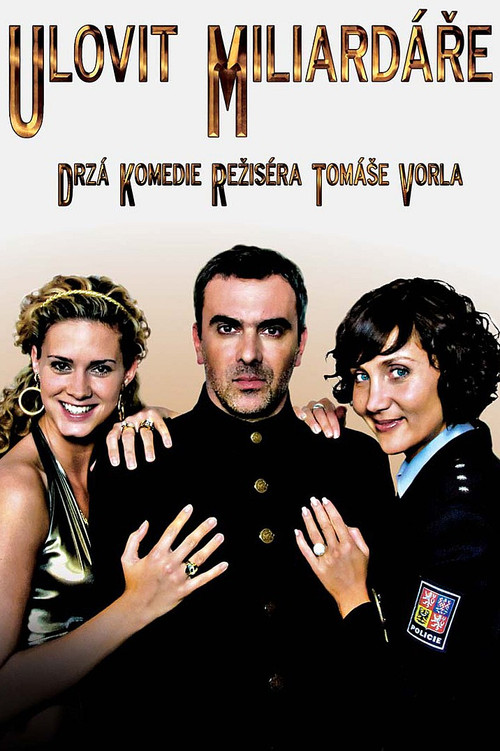 Ulovit miliardáře (2009) poster