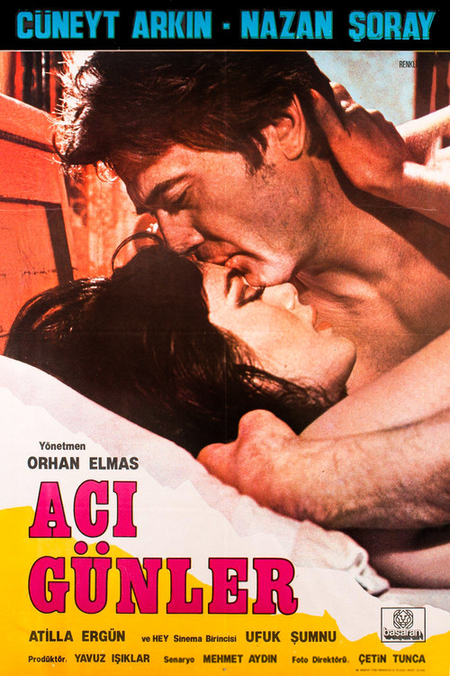 Acı Günler (1981) poster