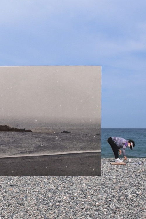 황폐한 사원에 걸린 달 (2025) poster