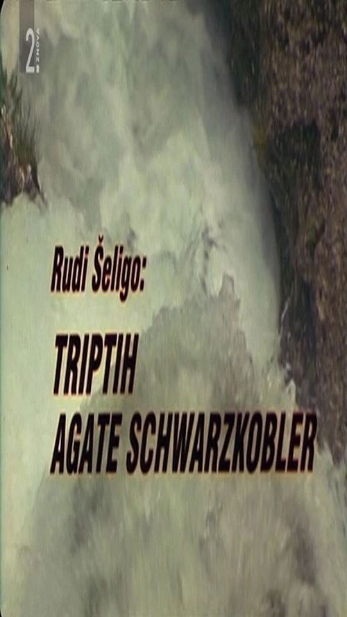 Triptych of Agata Schwarzkobler (1997) poster