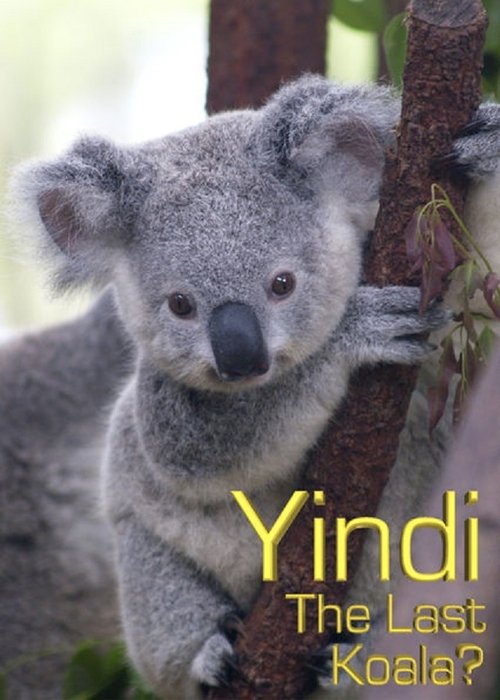Grainger's World: Yindi: The Last Koala? (2007) poster